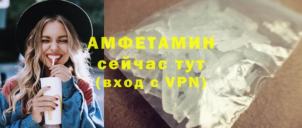 спайс Богданович