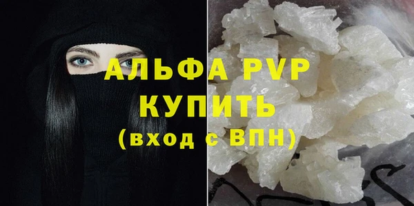 спайс Богданович
