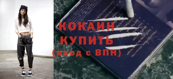 спайс Богданович