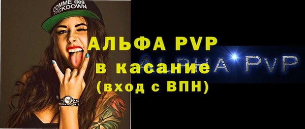 спайс Богданович