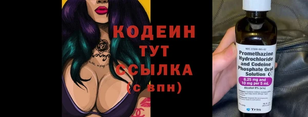 стаф Богородицк