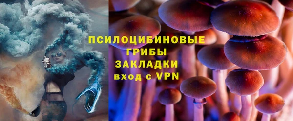 спайс Богданович