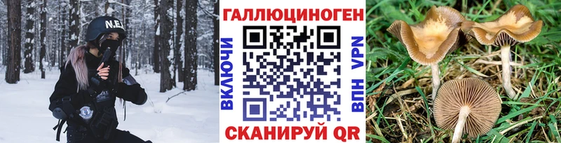 Псилоцибиновые грибы прущие грибы  Мыски 
