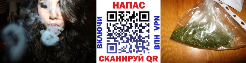 Канабис Bruce Banner  Мыски 